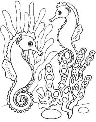 plansa de colorat animale #20