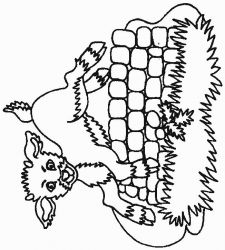 plansa de colorat animale #5