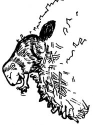 plansa de colorat animale #14