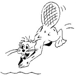 plansa de colorat animale #18