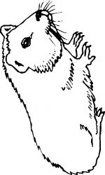 plansa de colorat animale #15