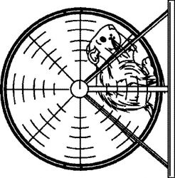 plansa de colorat animale #16