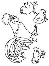 plansa de colorat animale #15