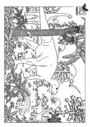 plansa de colorat animale dinozauri #13