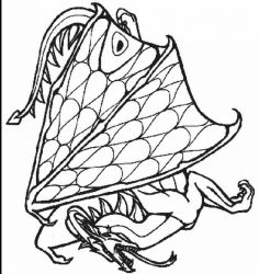 plansa de colorat animale #21