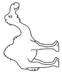 plansa de colorat animale dromaderi #2