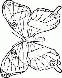 plansa de colorat animale #11