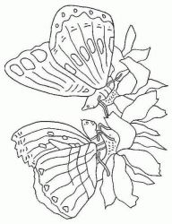 plansa de colorat animale #10