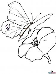 plansa de colorat animale #19