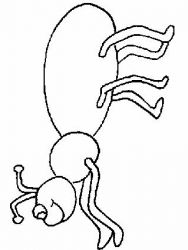 plansa de colorat animale #10