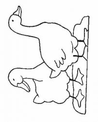 plansa de colorat animale #14