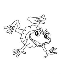 plansa de colorat animale #14