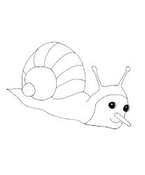 plansa de colorat animale #20