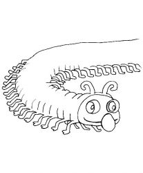 plansa de colorat animale #5