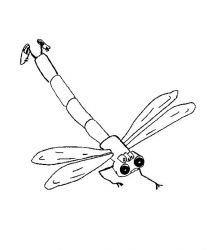 plansa de colorat animale #11