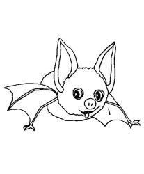 plansa de colorat animale #12