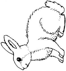 plansa de colorat animale iepurasi #13