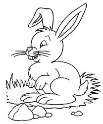 plansa de colorat animale iepurasi #2