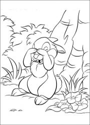 plansa de colorat animale iepurasi #6