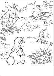 plansa de colorat animale iepurasi #7