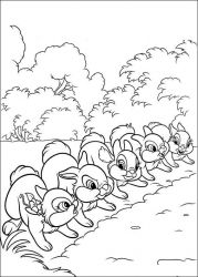 plansa de colorat animale iepurasi #8