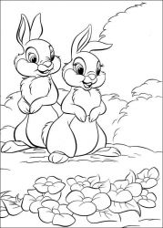 plansa de colorat animale iepurasi #11