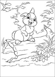 plansa de colorat animale iepurasi #20