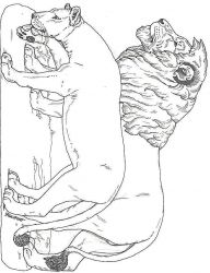 plansa de colorat animale #3