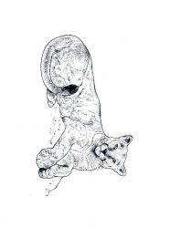 plansa de colorat animale #15