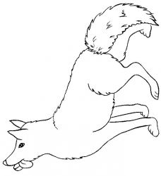 plansa de colorat animale #15