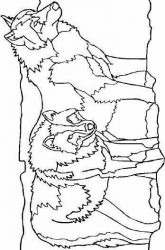 plansa de colorat animale #4