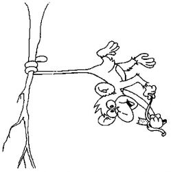 plansa de colorat animale #16