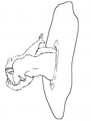 plansa de colorat animale #5