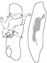 plansa de colorat animale #9