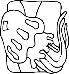 plansa de colorat animale #14