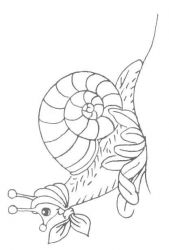 plansa de colorat animale melci #6