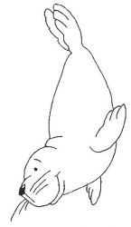 plansa de colorat animale #15