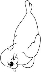 plansa de colorat animale #21