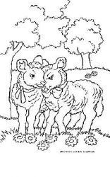 plansa de colorat animale oi #2