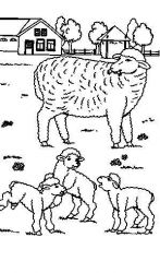 plansa de colorat animale oi #6