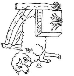 plansa de colorat animale oi #9