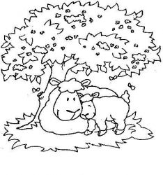 plansa de colorat animale oi #11