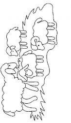 plansa de colorat animale oi #17