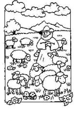 plansa de colorat animale oi #18