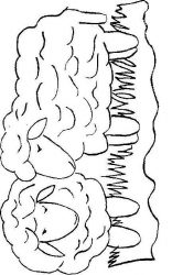 plansa de colorat animale oi #20