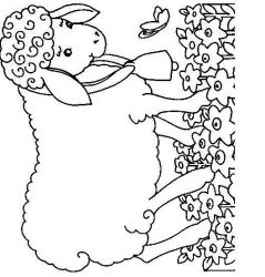 plansa de colorat animale oi #1