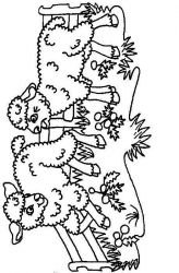 plansa de colorat animale oi #3