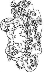 plansa de colorat animale oi #5