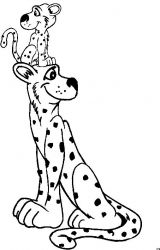 plansa de colorat animale pantere #3