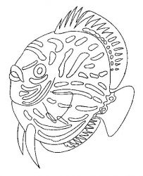 plansa de colorat animale pestisori #5